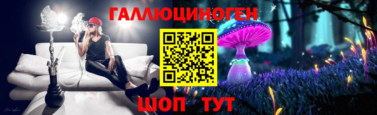 Пушкино  Псилоцибиновые грибы прущие грибы  Псилоцибиновые грибы прущие грибы  сколько стоит  Вход с VPN 